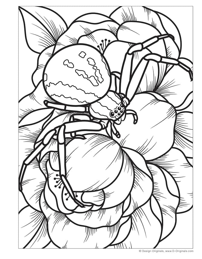 Wellspring Wellspring Super Cool Bugs and Spiders Coloring Book - Little Miss Muffin Children & Home