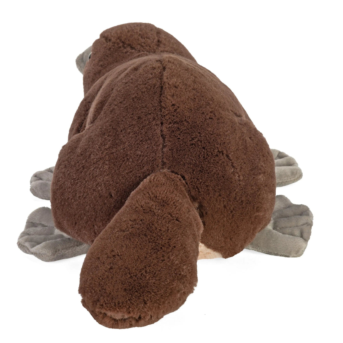 Cuddlekins Platypus