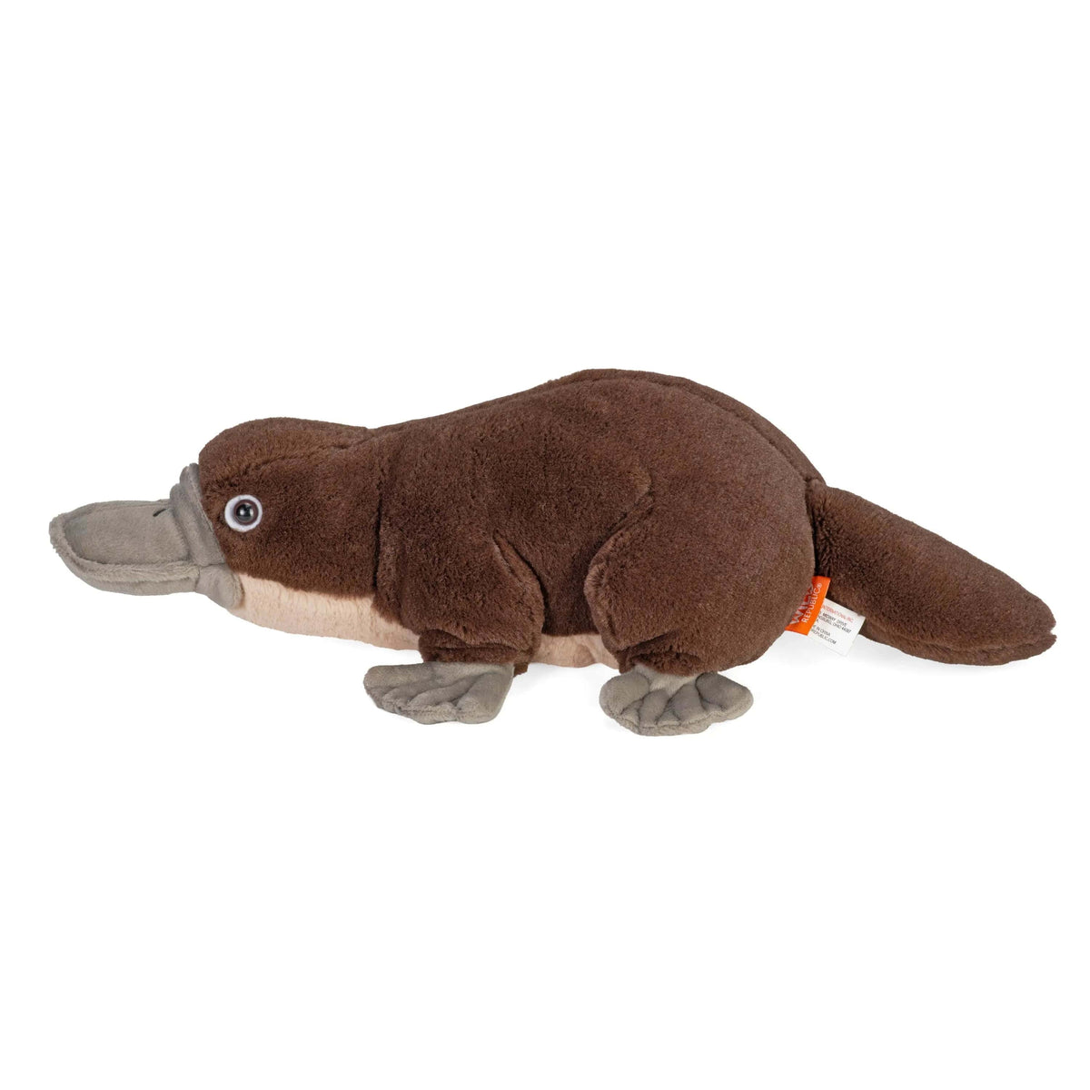 Cuddlekins Platypus