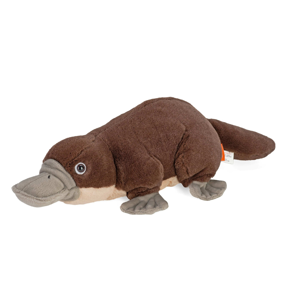 Cuddlekins Platypus