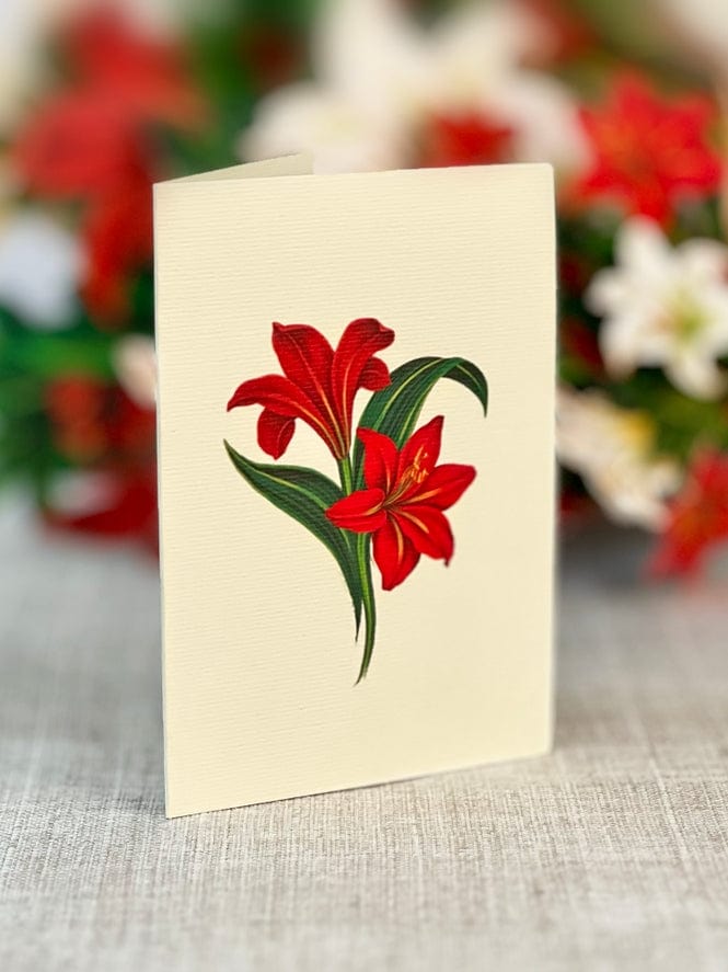 FreshCut Paper FreshCut Paper Mini Winter Joy Pop-Up Greeting Card - Little Miss Muffin Children & Home
