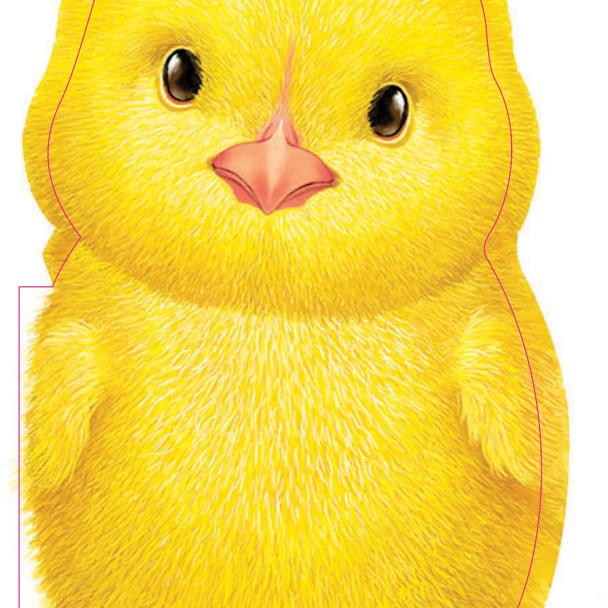 Furry Chick Board Book
