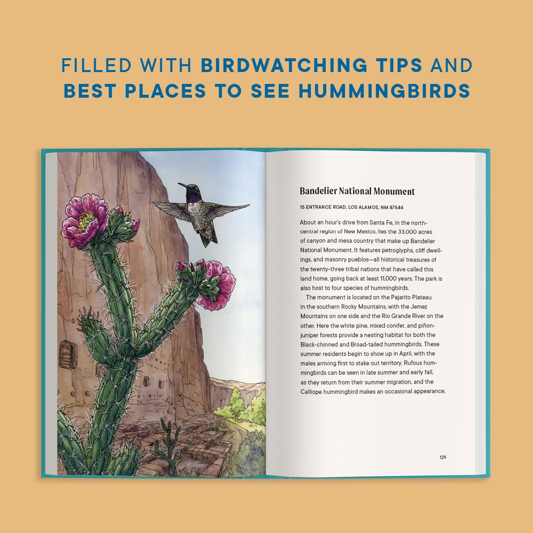 A Little Book of Hummingbirds (Mother's Day Gift)