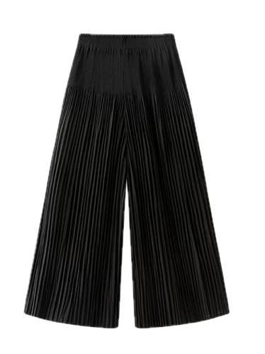 Pleated Pants with Pockets in Black