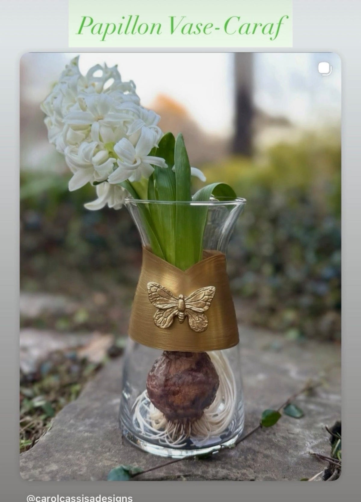 Vase-Caraf Grande Papillon (Large Butterfly)