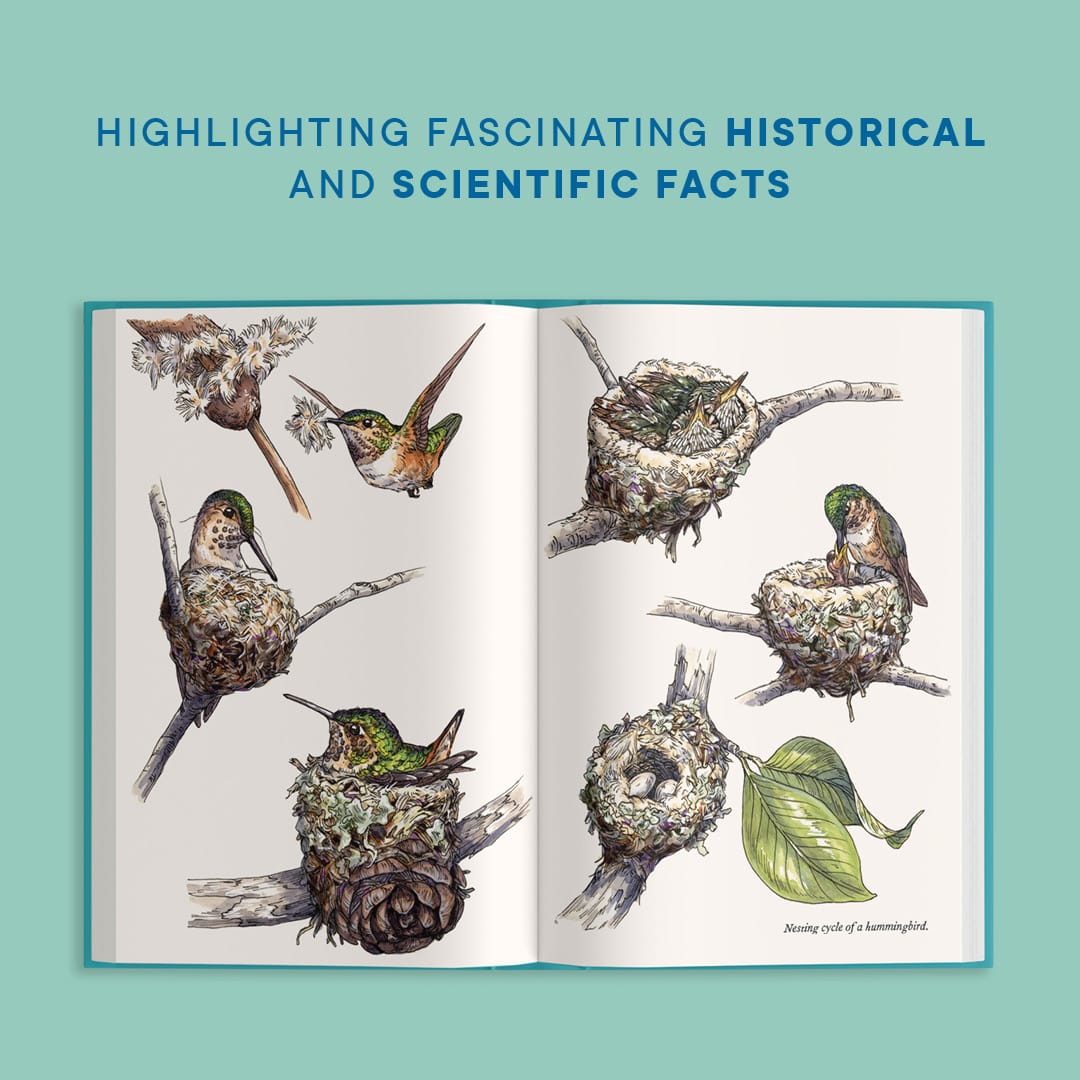 A Little Book of Hummingbirds (Mother's Day Gift)