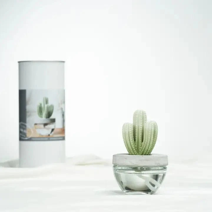 Pretty Valley Home Pretty Valley Home Saguaro Cactus Ceramic Diffuser Gift Set, Cactus Cutting Grass - Little Miss Muffin Children & Home