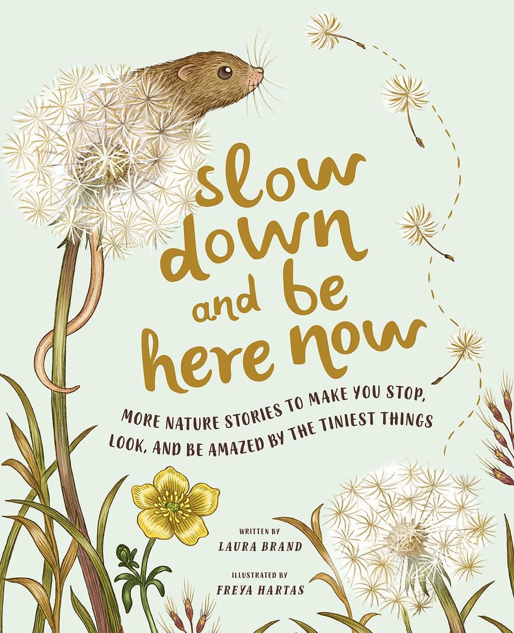 Hachette Book Group Slow Down and Be Here Now: More Nature Stories to Make You Stop - Little Miss Muffin Children & Home
