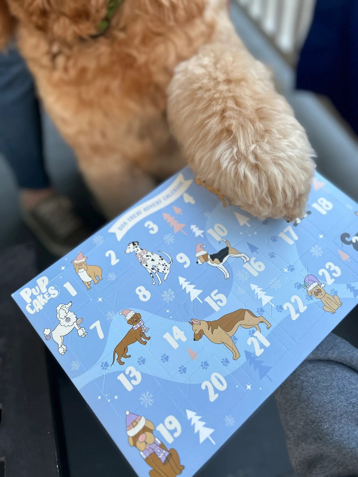 Pupcakes Pet Barkery Pupcakes Pet Barkery Dog Treat Advent Calendar - Little Miss Muffin Children & Home