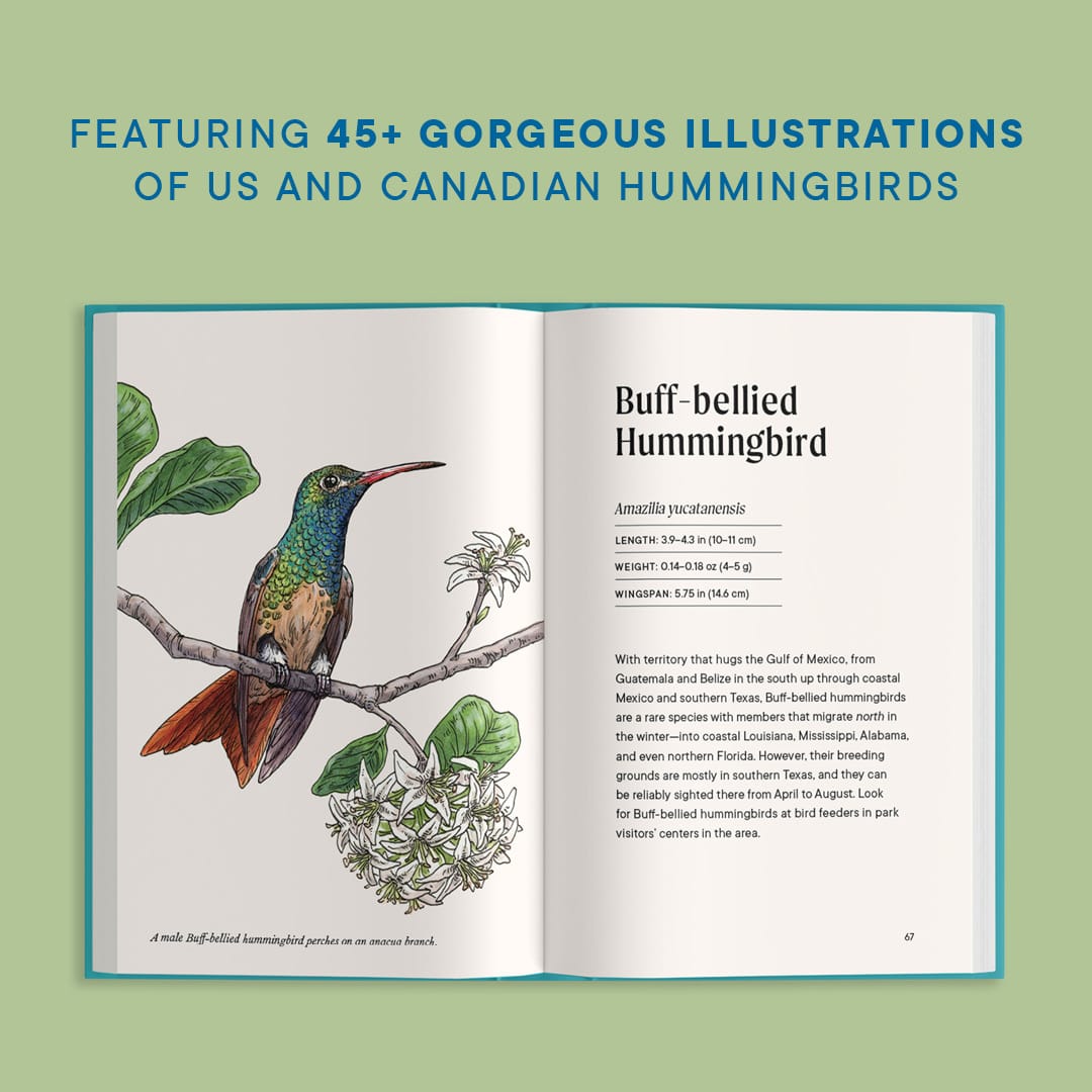 A Little Book of Hummingbirds (Mother's Day Gift)