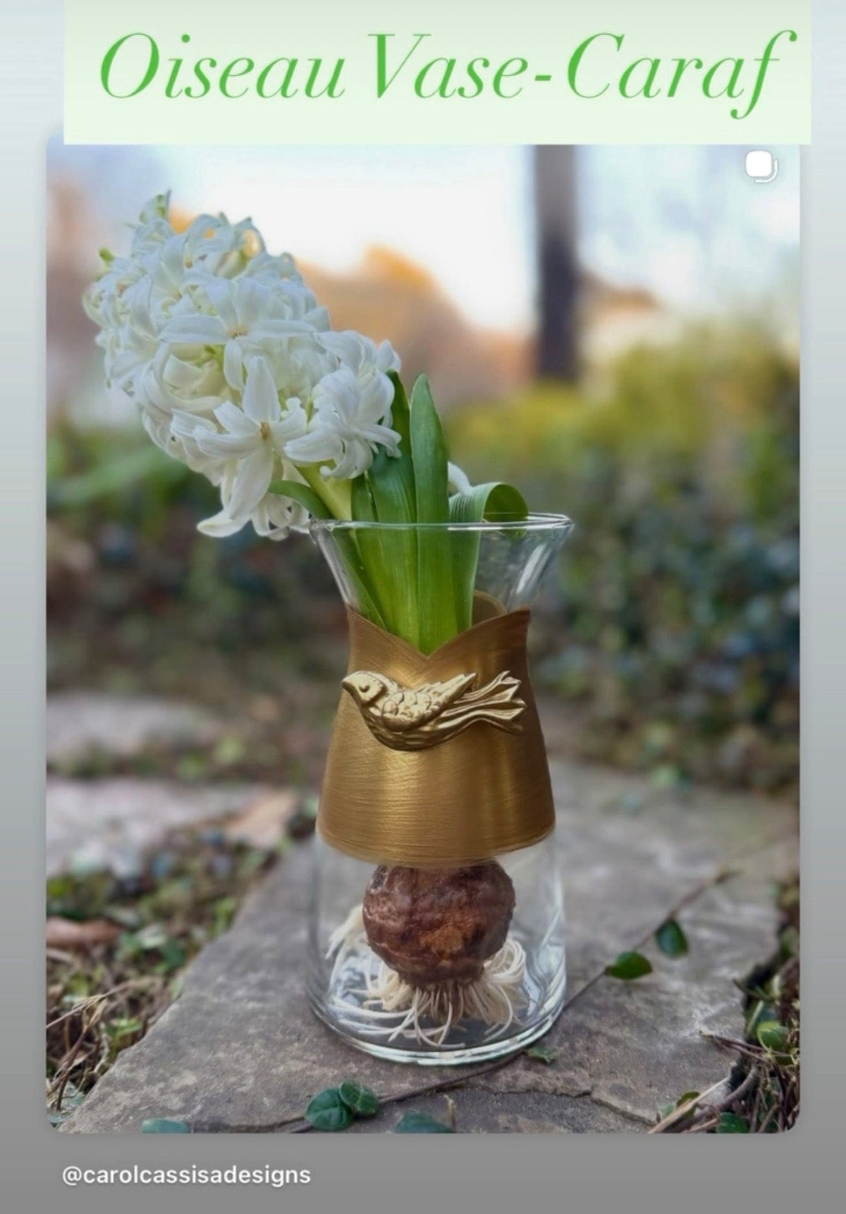 Carol Cassisa Bird Carafe