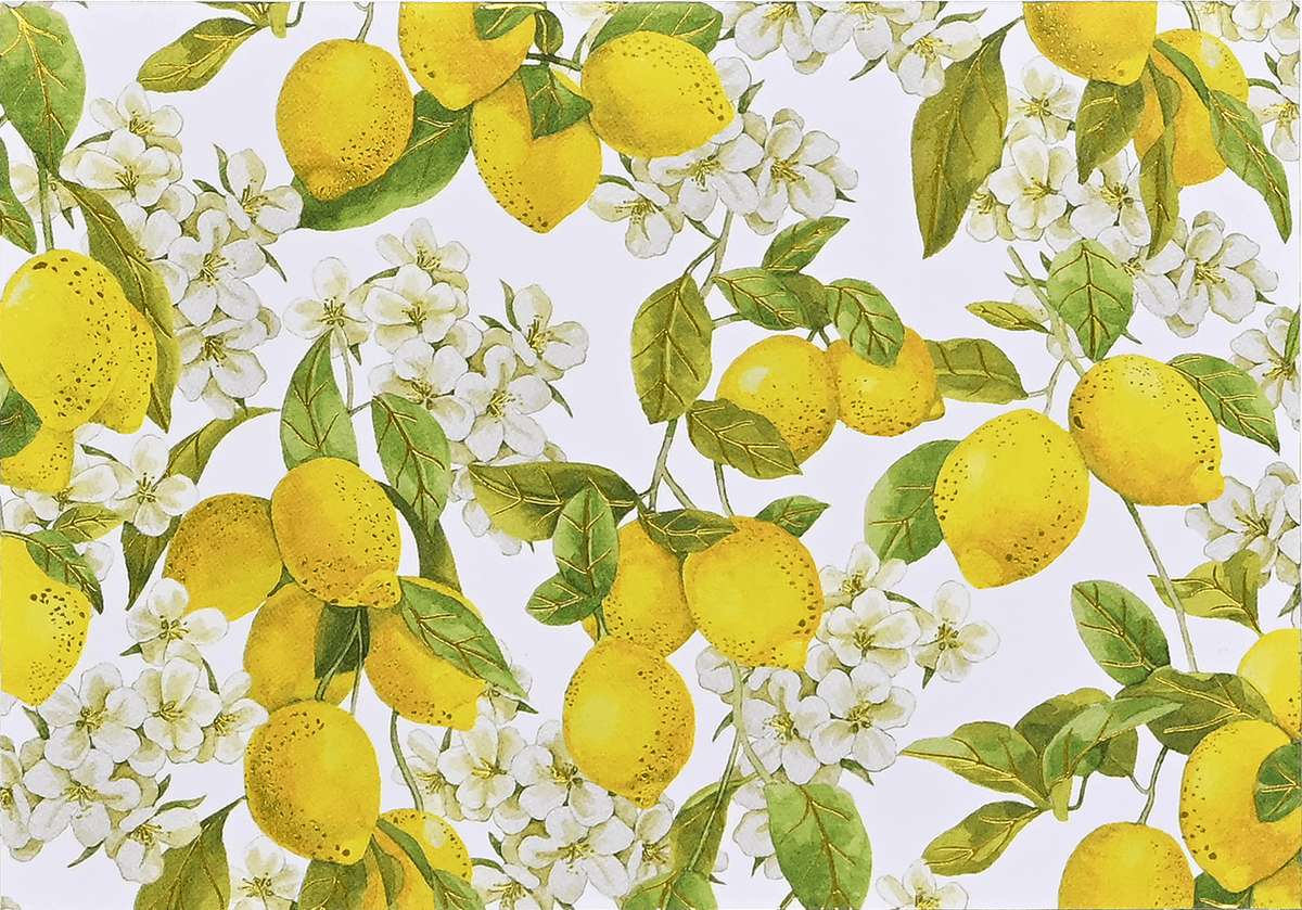 Peter Pauper Press Peter Pauper Press Amalfi Lemons Note Cards - Little Miss Muffin Children & Home