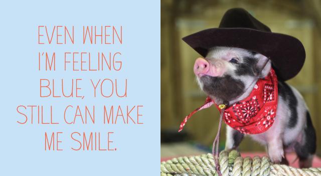 Hachette Book Group Pocket Piggies: I Love You! - Little Miss Muffin Children & Home