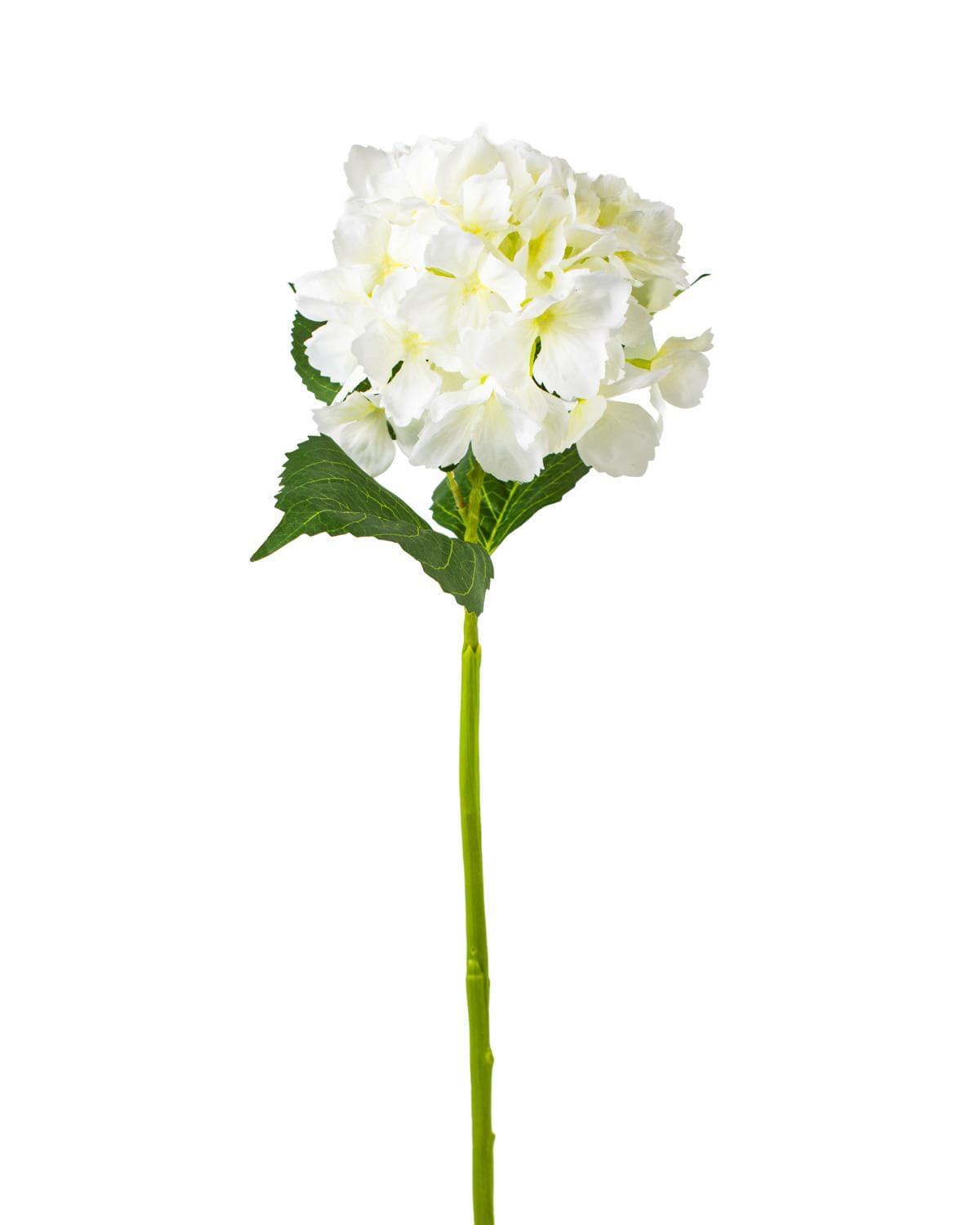 The Royal Standard Cream Hydrangea Stem - Little Miss Muffin Children & Home
