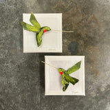 Dana Manly Art Dana Manly Art Hummingbird Green 4x4 - Little Miss Muffin Children & Home