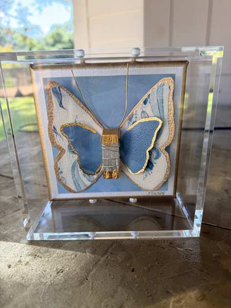 Butterfly in Shadowbox 6x6