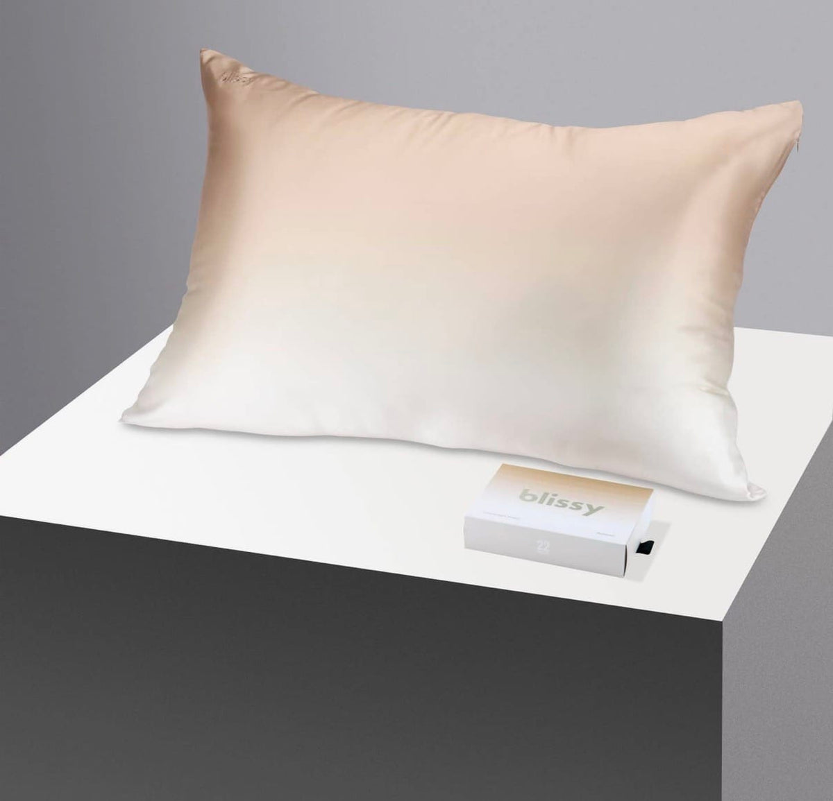 King-Sized Champagne Ombre Silk Pillowcase