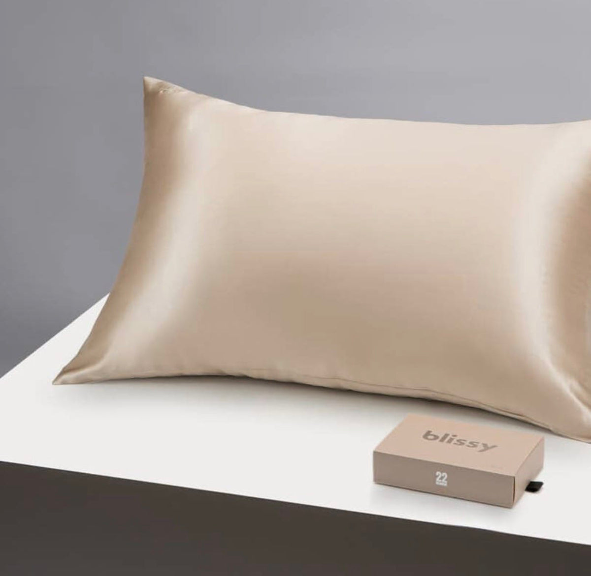 King-Sized Champagne Silk Pillowcase