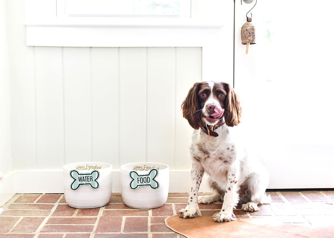 Coton Colors Company Coton Colors Company Striped Bone Mini Attachment - Little Miss Muffin Children & Home