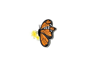 Coton Colors Company Coton Colors Company Monarch Mini Attachment - Little Miss Muffin Children & Home