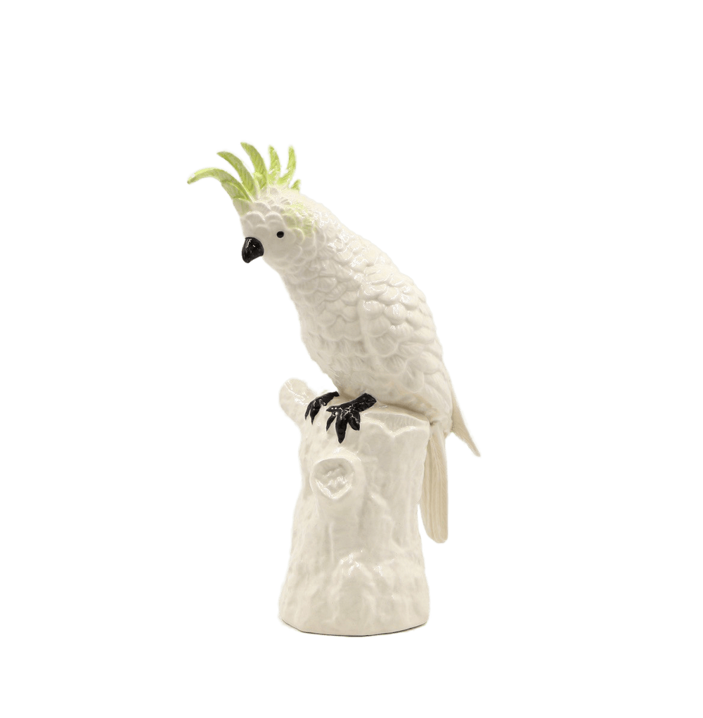 Cockatoo