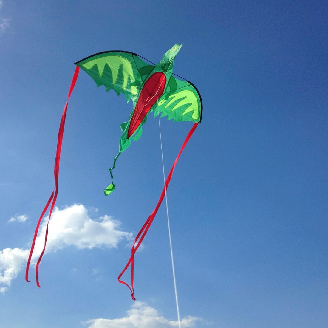 Melissa & Doug Melissa & Doug Winged Dragon Shaped Kite - Little Miss Muffin Children & Home