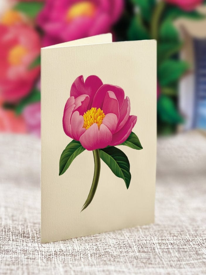 FreshCut Paper FreshCut Paper Peony Paradise Bouquet - Little Miss Muffin Children & Home