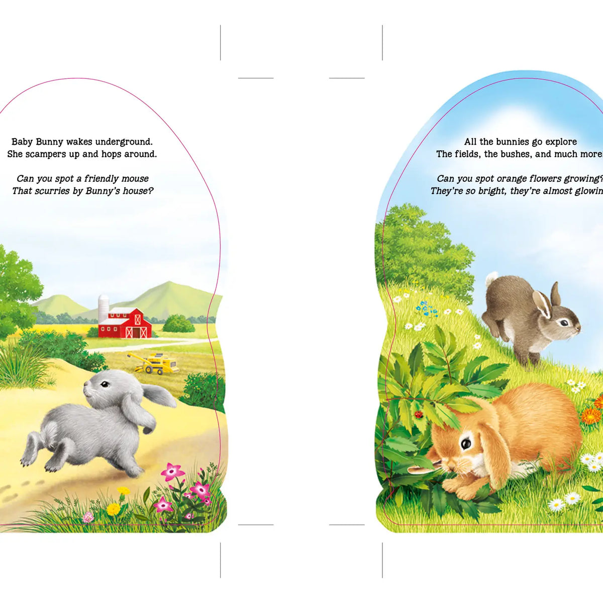Furry Bunny Board Book