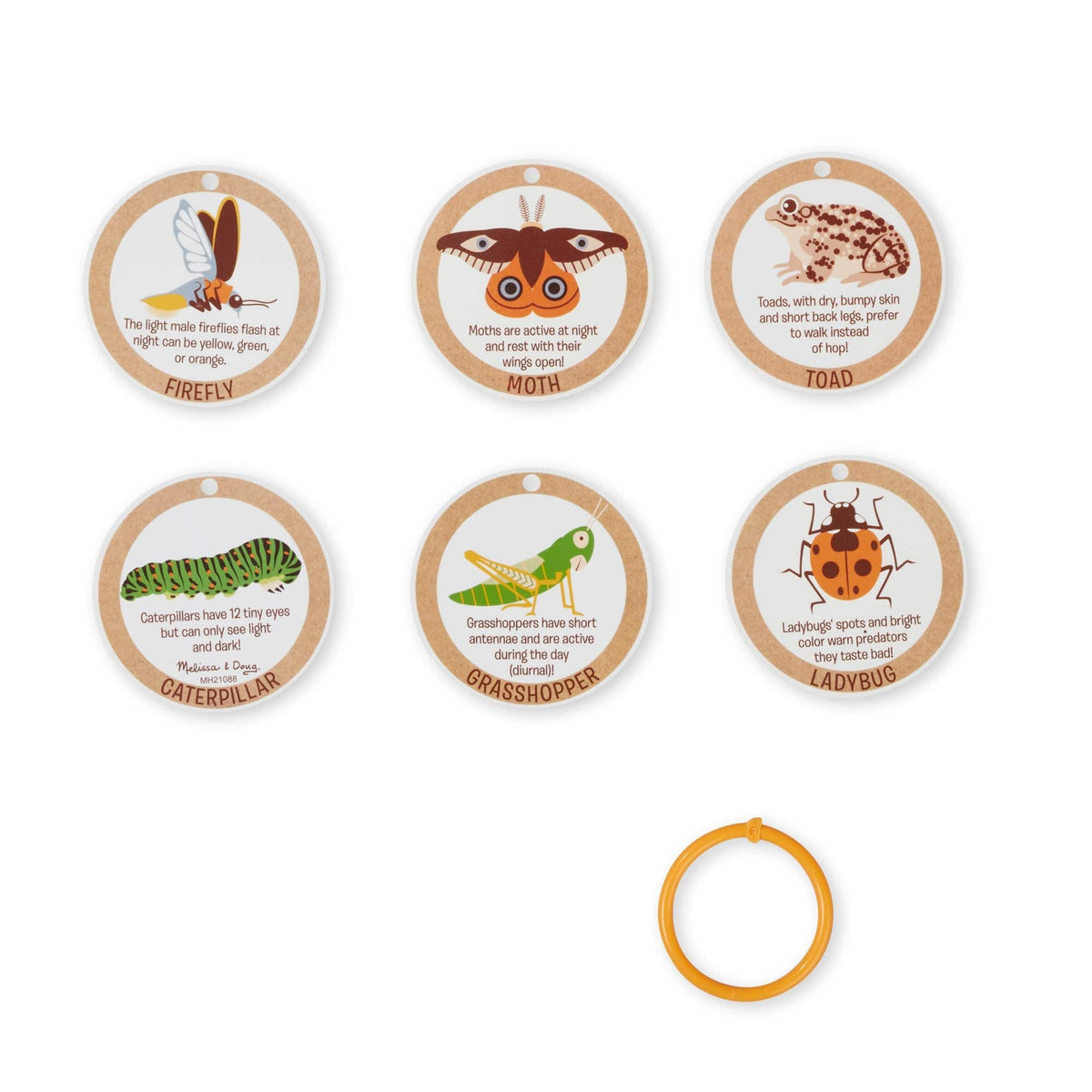 Melissa & Doug Melissa & Doug Terrarium Observations Play Set - Little Miss Muffin Children & Home