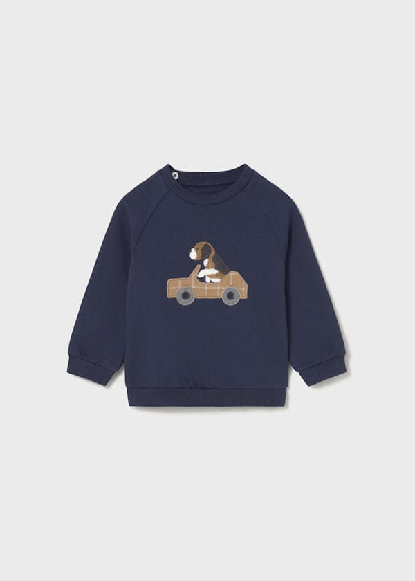 puppy sweater