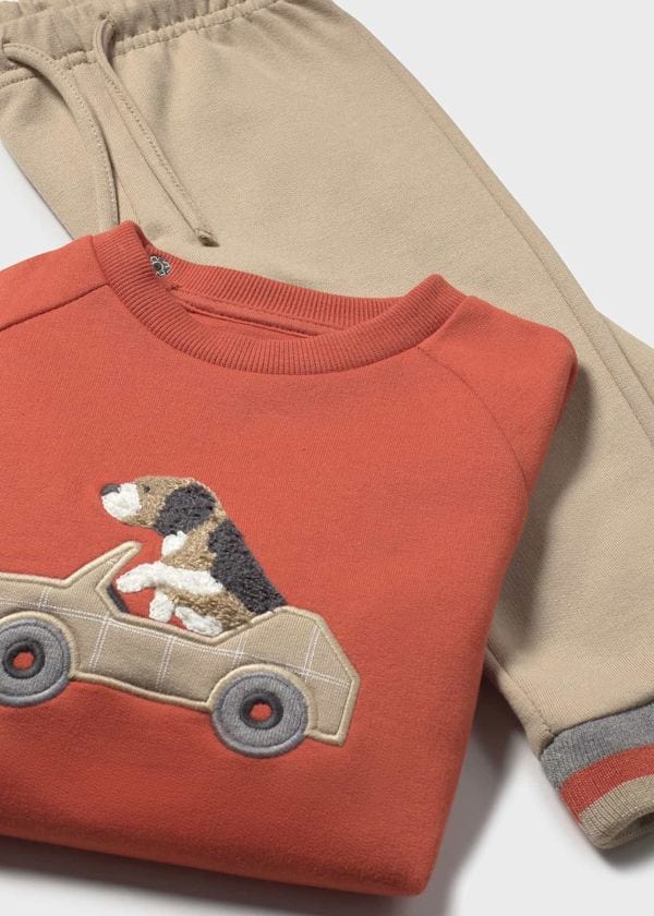 orange boys sweater with puppy
