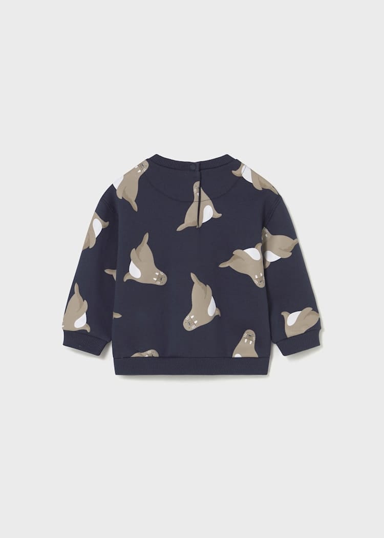boys seal sweatshirt