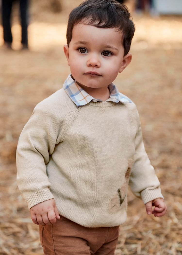 Mayoral Usa Inc Intarsia Animal Sweater in Oat - Little Miss Muffin Children & Home