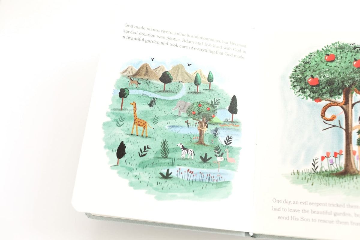 Paper Peony Press Paper Peony Press Bible Stories For Little Ones: Baby’s First Bible Board Book - Little Miss Muffin Children & Home