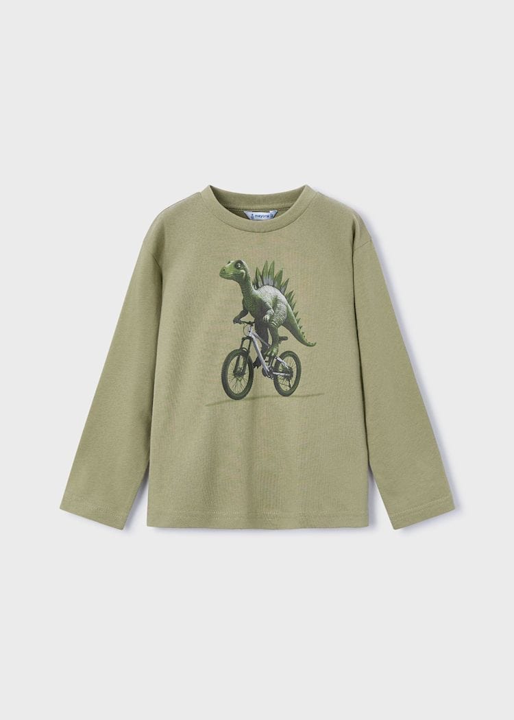 boys dinosaur t shirt