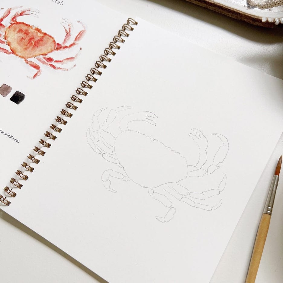 Emily Lex Studio Emily Lex Studio Seaside Watercolor Workbook - Little Miss Muffin Children & Home