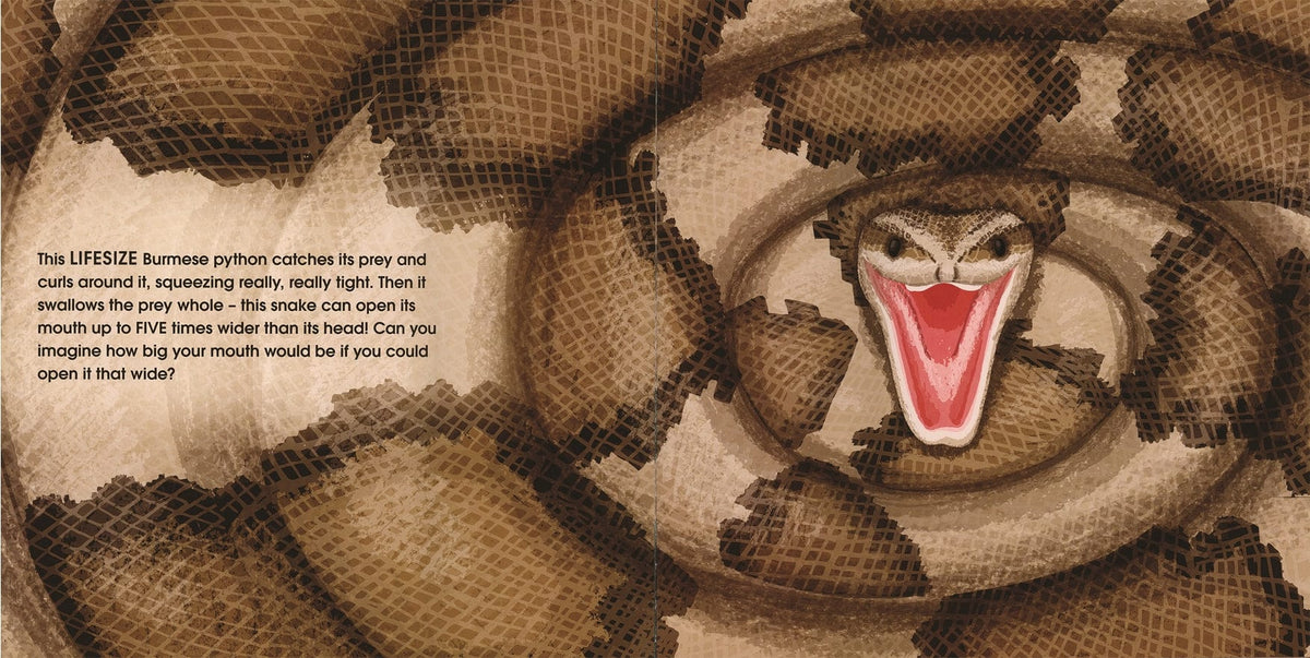 EDC Publishing Lifesize Deadly Animals - Little Miss Muffin Children & Home