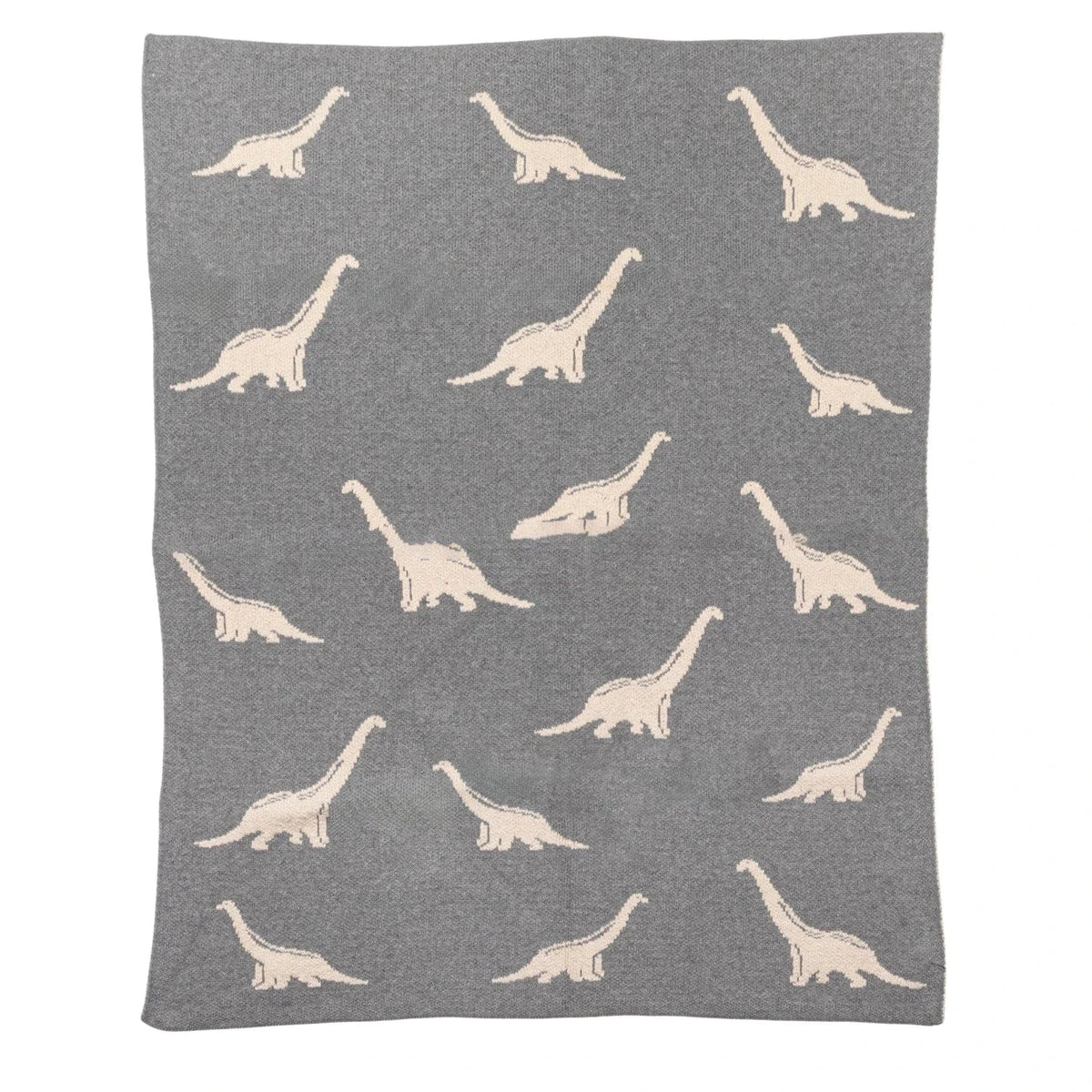 Creative Co-op Cotton Knit Baby Blanket with Dinosaurs - Little Miss Muffin Children & Home