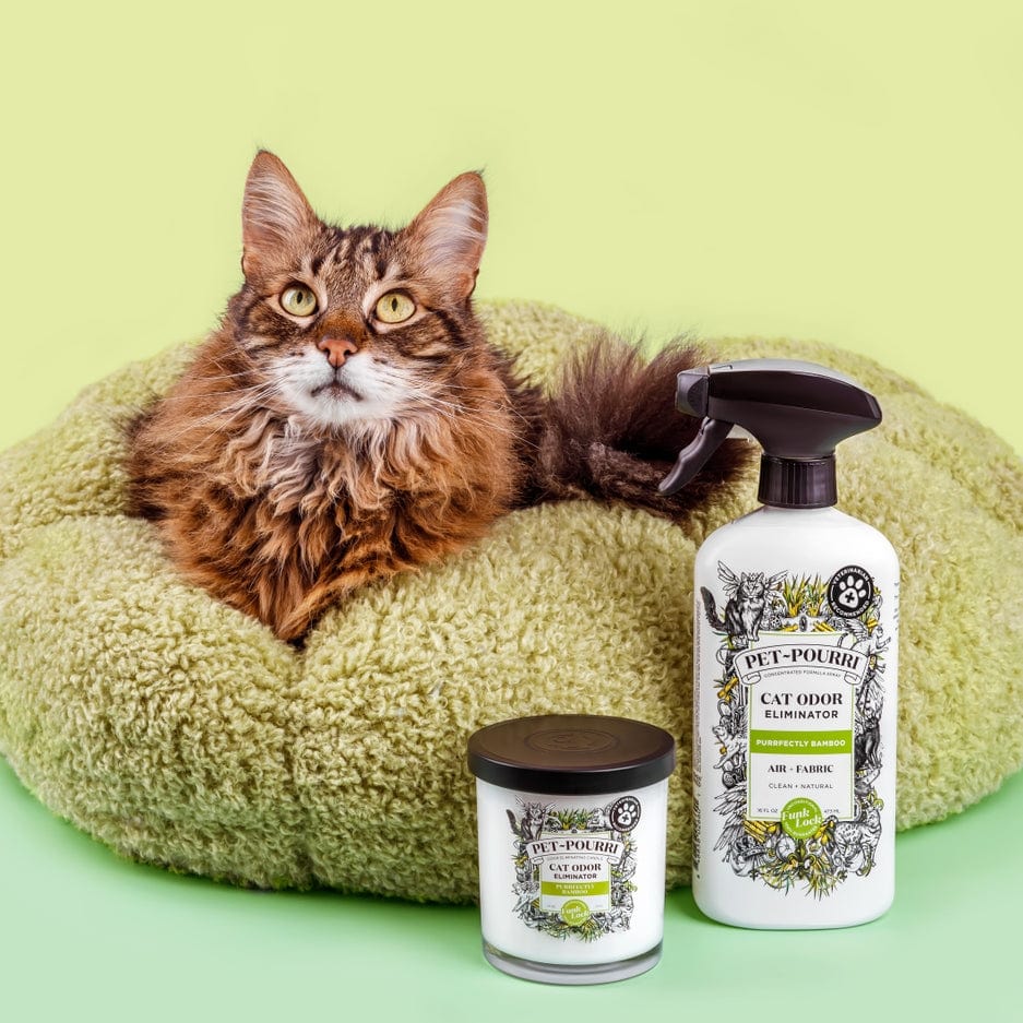 Poo~Pourri Pet~Pourri Cat Purrfectly Bamboo Candle 2-in-1 Odor Eliminating 7.5oz - Little Miss Muffin Children & Home