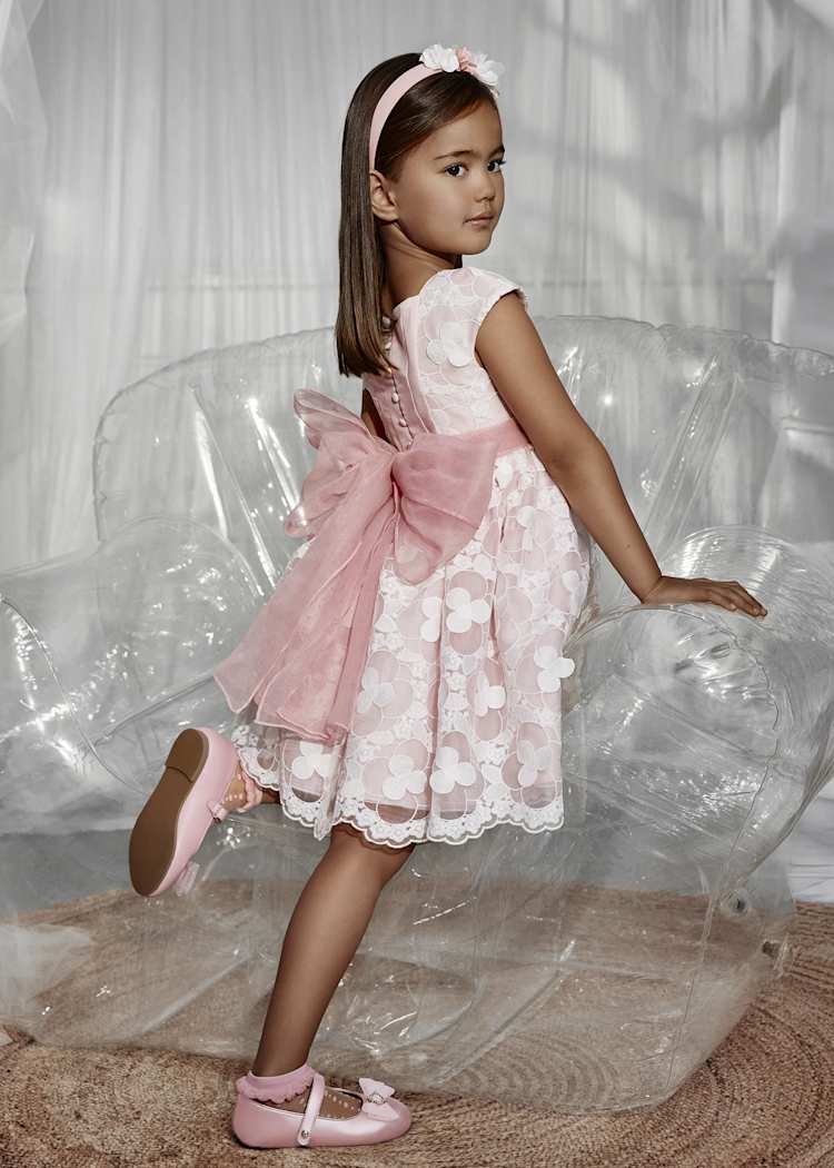 Embroidered Organza Dress with Floral Appliques