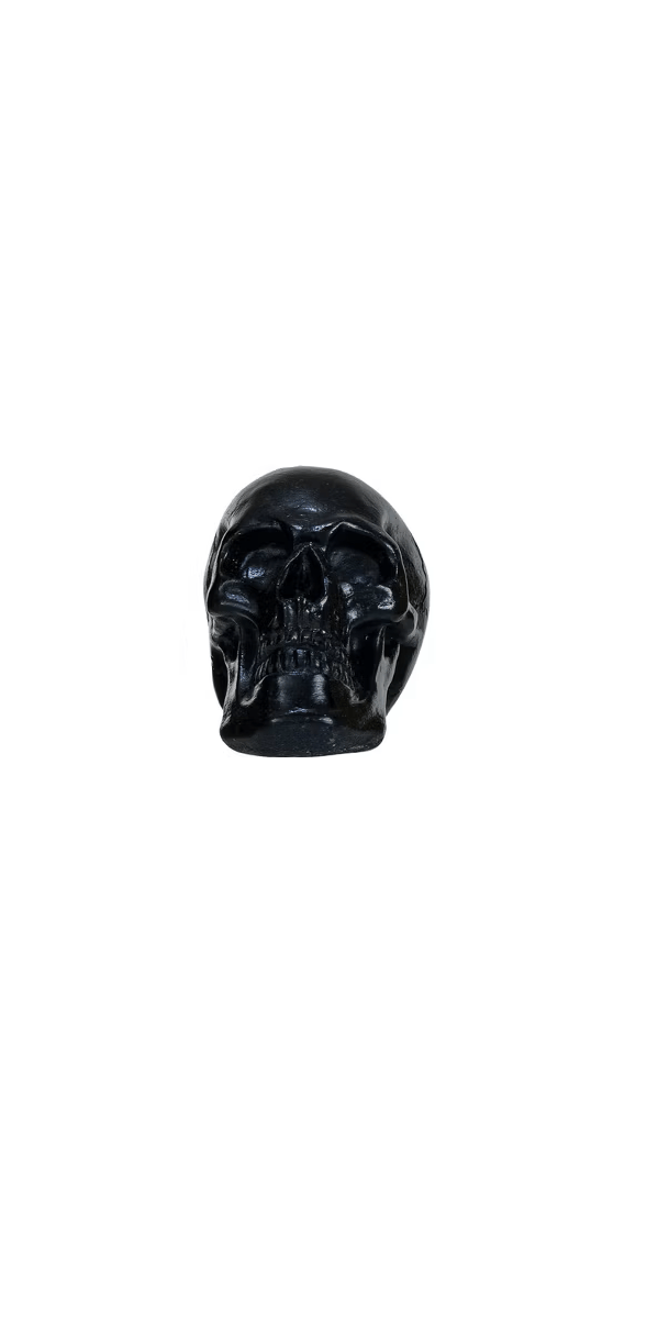 Resin Skulls, 4 Available Colors, Sold Individually