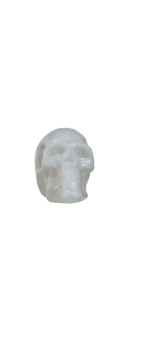 Creative Co-op Resin Skulls, 4 Available Colors, Sold Individually - Little Miss Muffin Children & Home