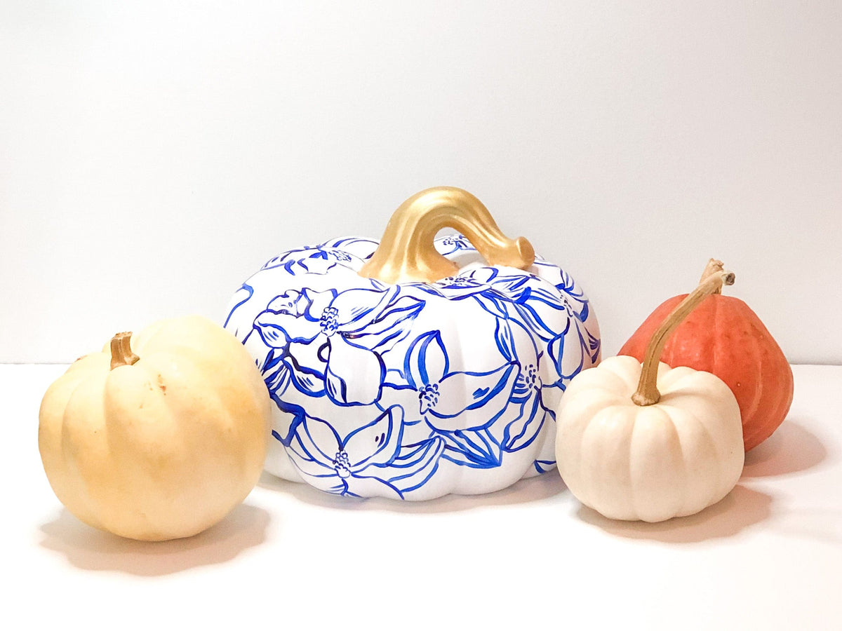Large Blue Magnolia Pumpkin