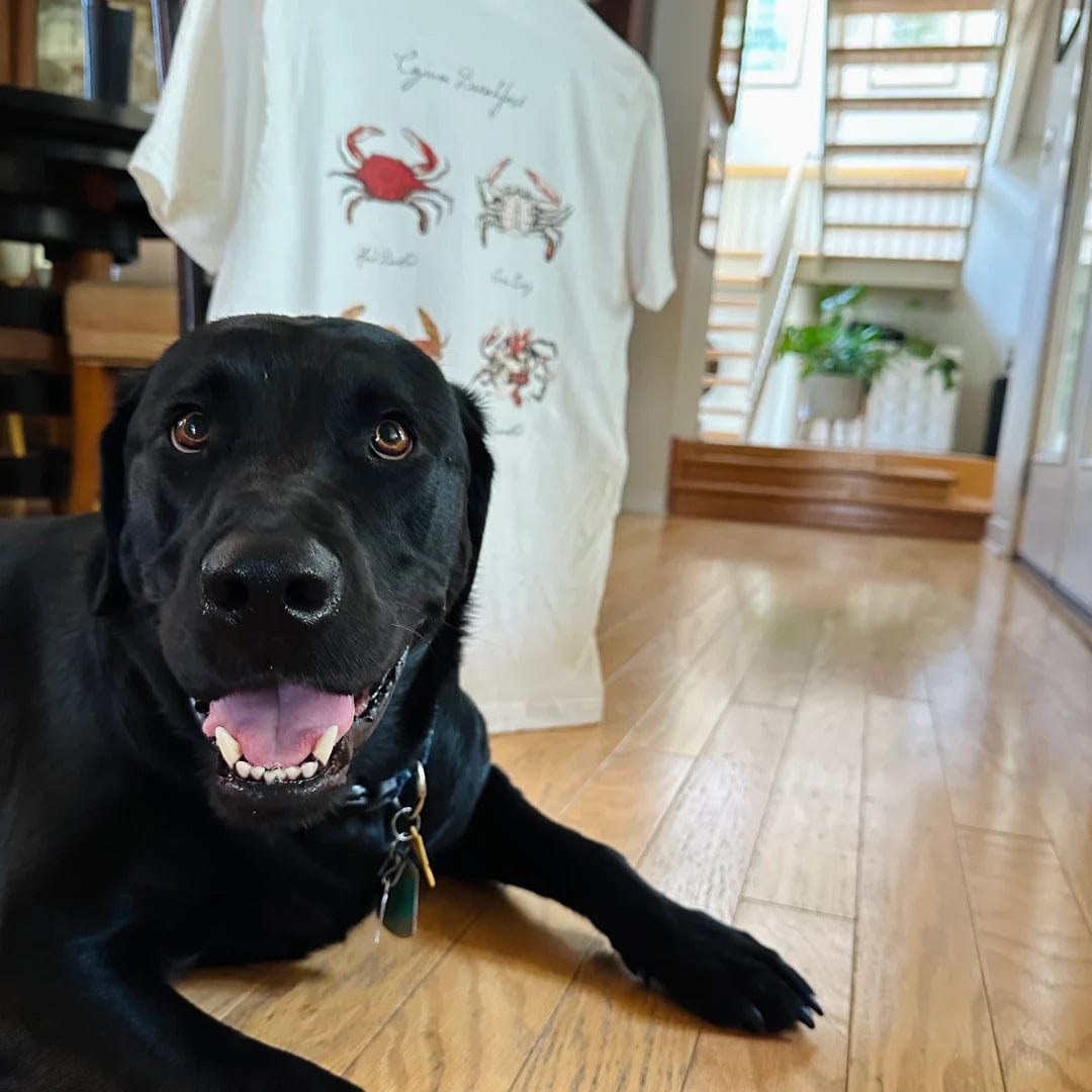 Whereable Art Whereable Art Cajun Breakfast by Jose Balli Tee - Little Miss Muffin Children & Home