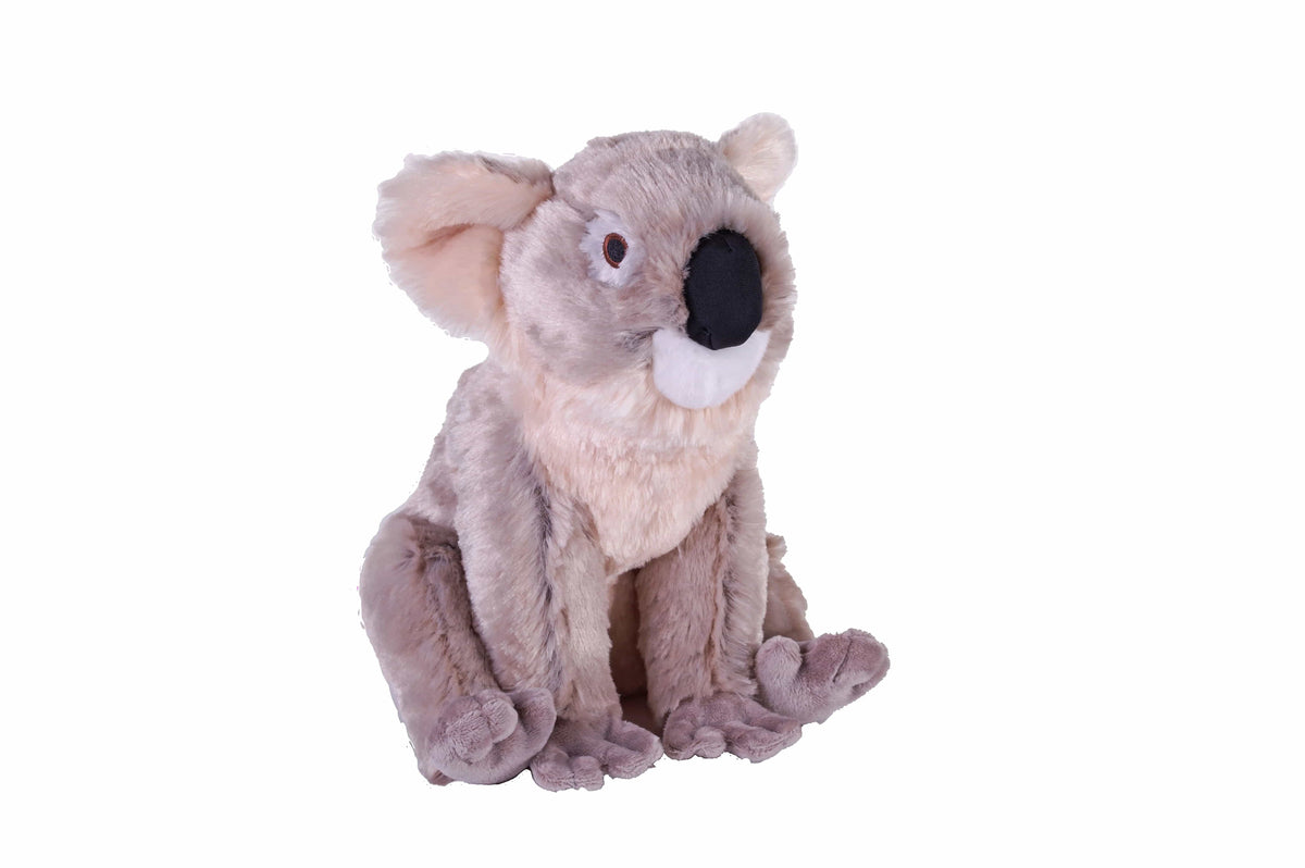 Cuddlekins Eco Koala