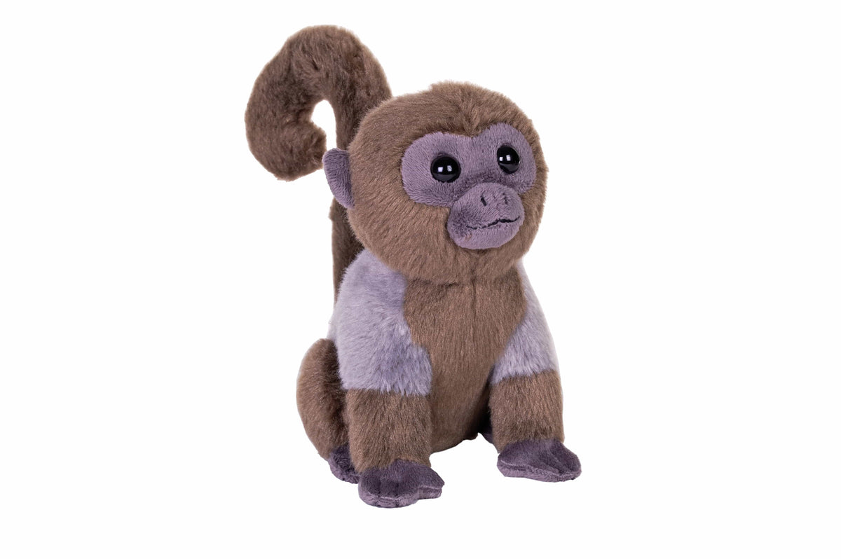 Rainforest Splendors Wolly Monkey