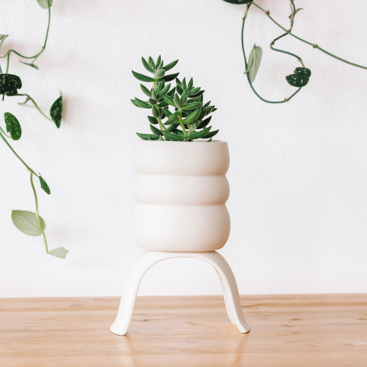 Carter & Rose Carter & Rose High Rise Wiggle Planter - Little Miss Muffin Children & Home
