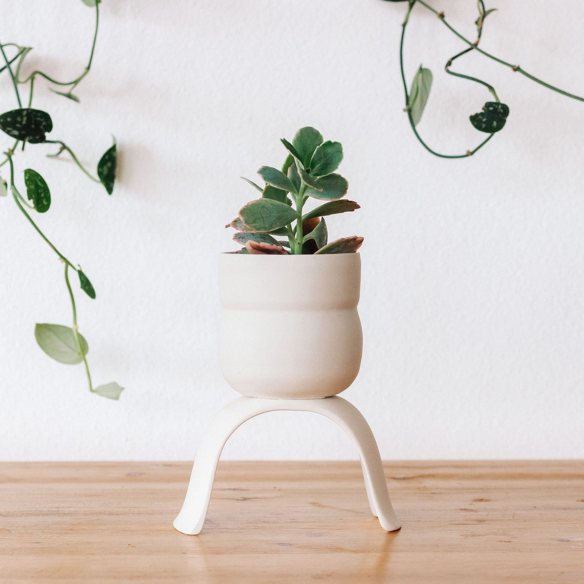 Carter & Rose Carter & Rose High Rise Wiggle Planter - Little Miss Muffin Children & Home