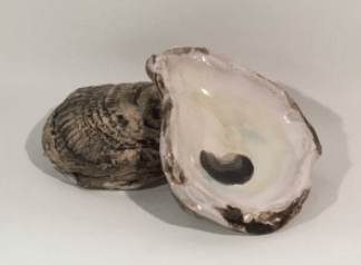 Seagem Studios - Oyster Market Small - Little Miss Muffin Children & Home