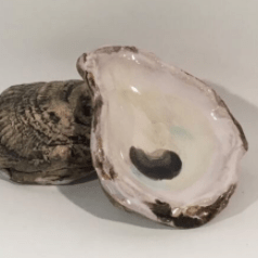 Seagem Studios - Oyster Market Small - Little Miss Muffin Children & Home
